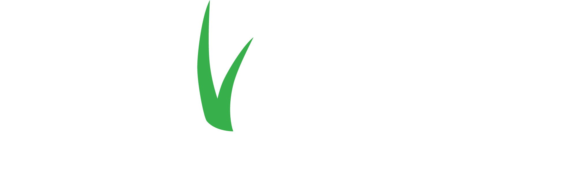 ForeverLawn Black Hills