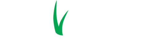 ForeverLawn Black Hills